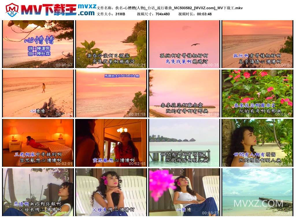 佚名-心糟糟(人物)_台语_流行歌曲_MC500582